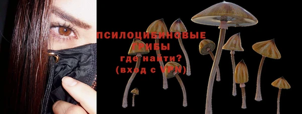 мескалин Каменка