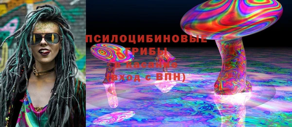 метадон Каменногорск