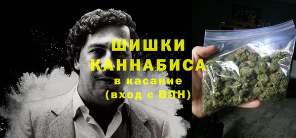 метадон Каменногорск